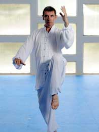 Tai Chi Clermont-Ferrand Auvergne Tai Chi Clermont-Ferrand Auvergne